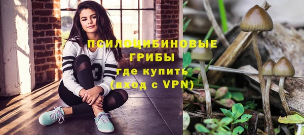 твердый Алексеевка