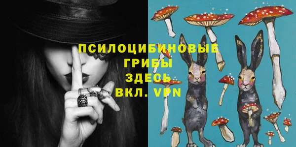 твердый Алексеевка